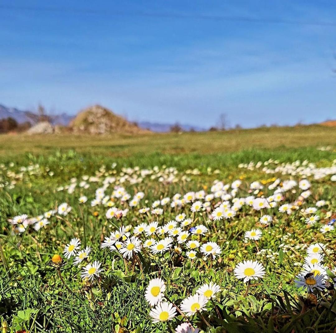 Apartments & Rooms Velebit Lovinac  Экстерьер фото