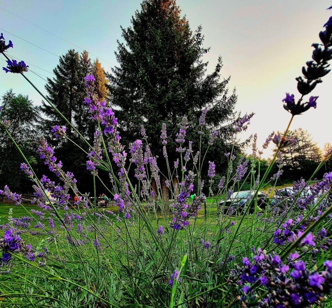 Apartments & Rooms Velebit Lovinac  Экстерьер фото